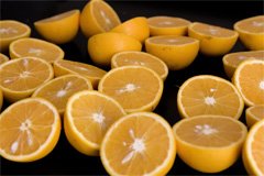 oranges-828014